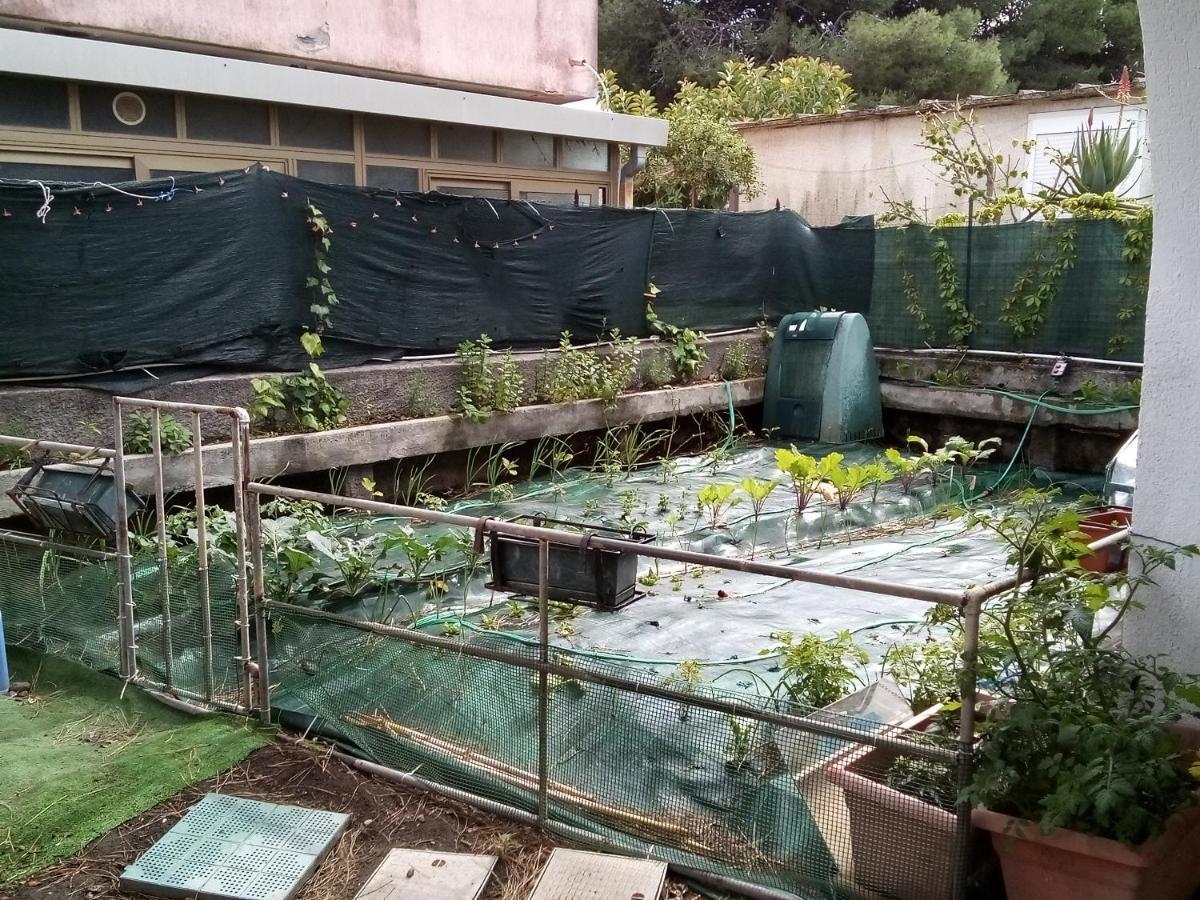Casa Epiard-Orofino Apartment Catania Ngoại thất bức ảnh